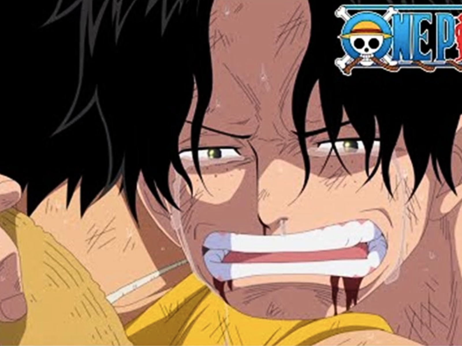 One Piece: cuántos capítulos del manga adapta la temporada 1 del