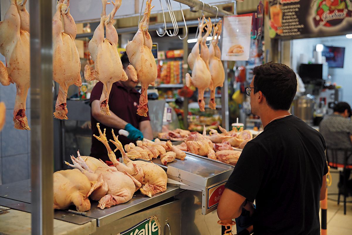 Detalle 22+ imagen como inflan los pollos antes de venderlos