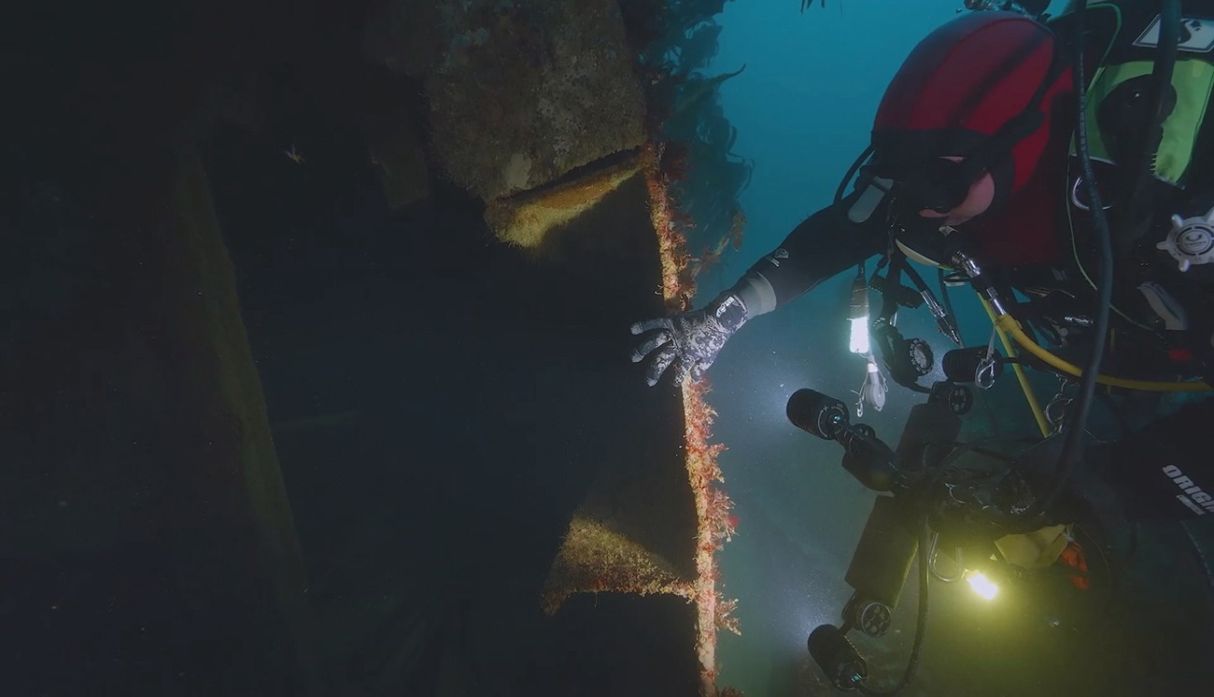 Este martes se estrena la tercera temporada de “Secreto en los Océanos”, documental de National Geographic. (Foto: NatGeo)