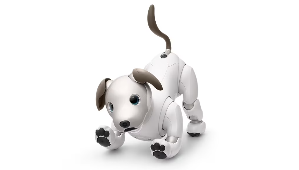 Cyberdog 2: el perro robot de Xiaomi ahora es más ligero, inteligente y  parecido a un perro real, VIDEO, Robot zoomorfo, inteligencia artificial, TECNOLOGIA