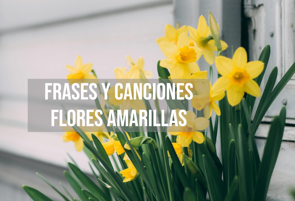 Fecundación in Vitro en Alicante: Proceso, Indicaciones y Precio Vida  Fertility Vida Fertility, image size:1200x820