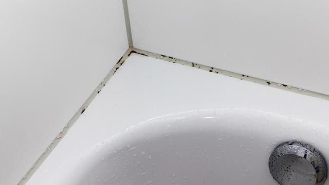 Concurso Acostumbrar Propiedad Cómo quitar el moho negro de la silicona de la bañera sin fallar en el  intento | RESPUESTAS | MAG.
