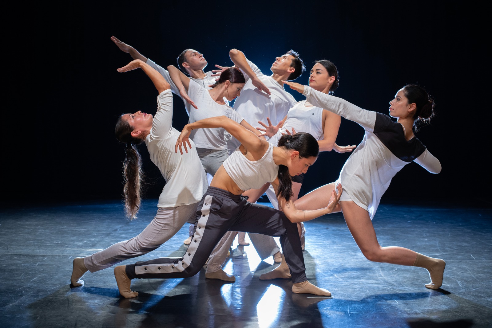 XXXVI Festival Danza Nueva presenta lo más innovador de la producción dancística peruana del 2 al 27 de julio en el ICPNA de Miraflores.