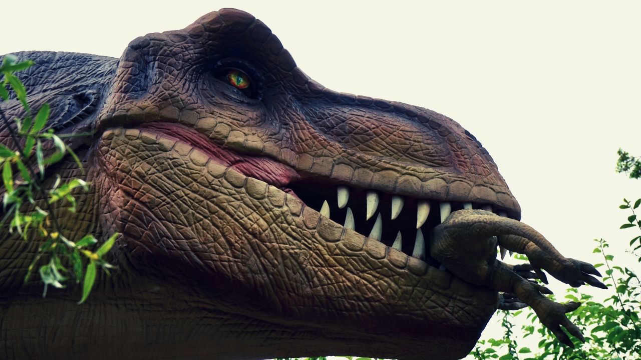 13 películas de dinosaurios: Películas antiguas, infantiles, animadas y  actuales | ESCOLAR | OJO