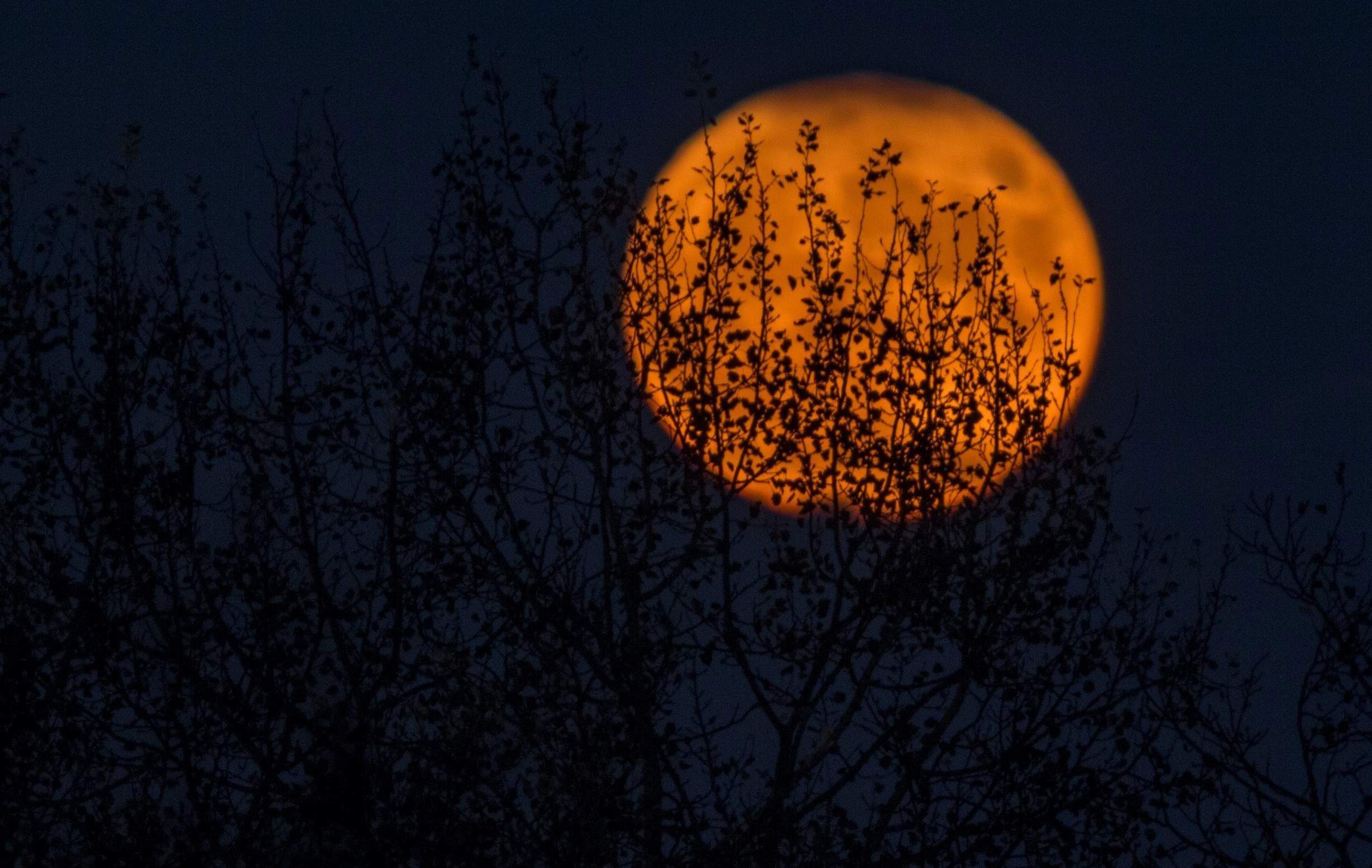 Las lunas llenas suelen traer momentos de alta intensidad emocional.