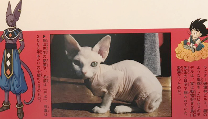 Dragon Ball Super Conoce A Debo El Felino Que Inspiro Al Dios De La Destruccion Bills Depor Play Depor