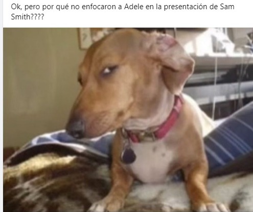 Memes Grammys 2023 | Captura: Facebook