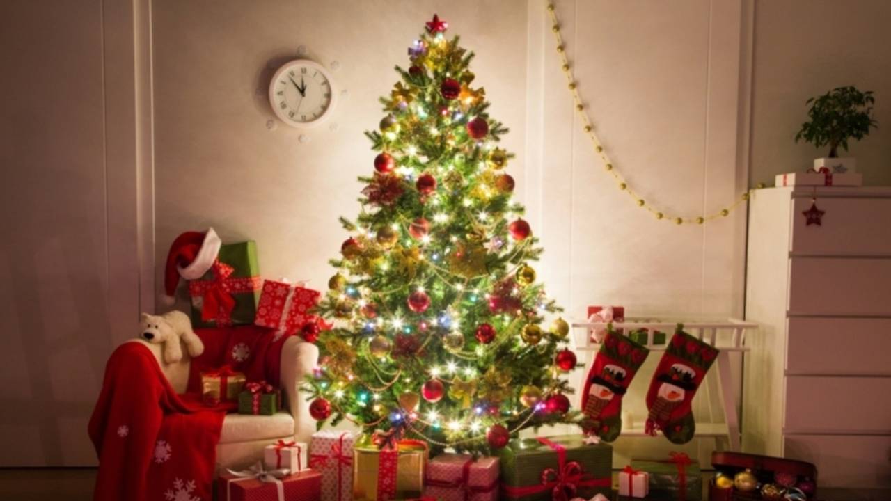 Árbol de Navidad: ¿Qué significado tiene? Conoce su historia y origen |  Felices Fiestaas 2020 | Navidad | Nochebuena | Revtli | RESPUESTAS | EL  COMERCIO PERÚ