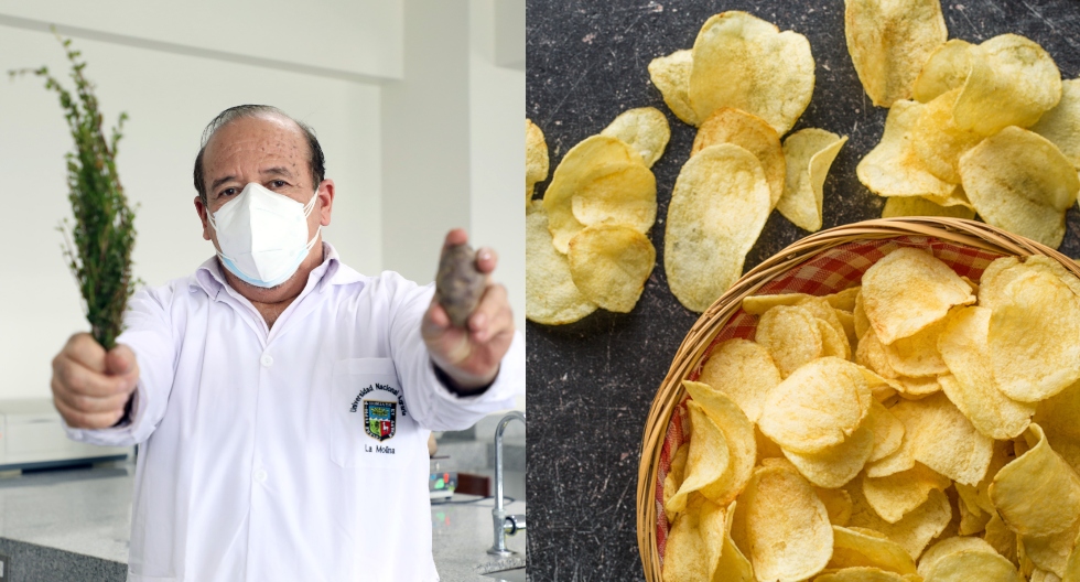 La acrilamida es “un contaminante que se forma al freír, asar u hornear alimentos a altas temperaturas". Está presente en alimentos como las hojuelas de papas. Un equipo de investigadores ha desarrollado un producto que reduce la aparición de este químico relacionado con el cáncer. (Fotos: UNALM / Referencial - Shutterstock)