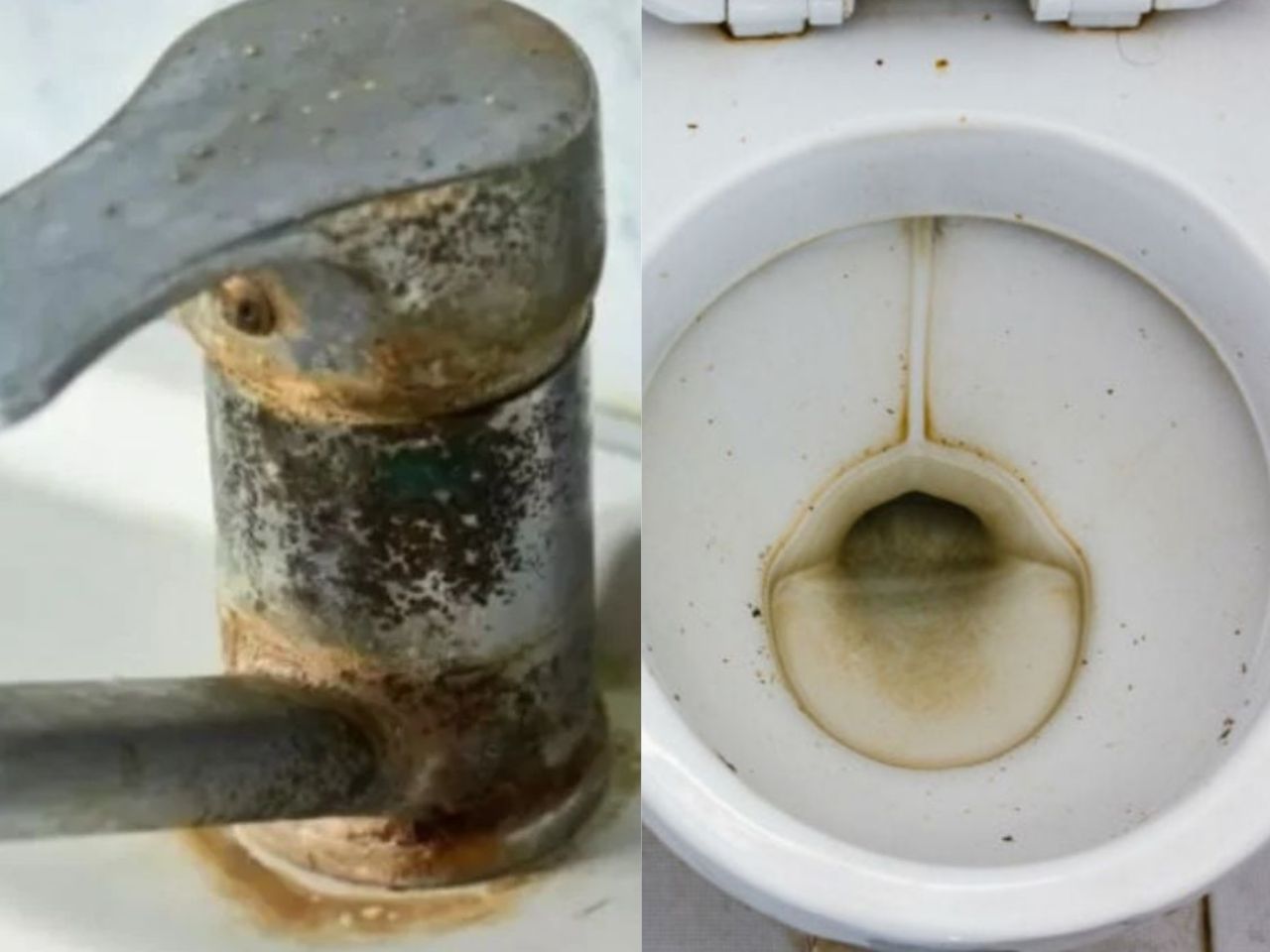 Ni vinagre ni bicarbonato: el truco definitivo para quitar el sarro de las  canillas y del inodoro al instante - El Cronista