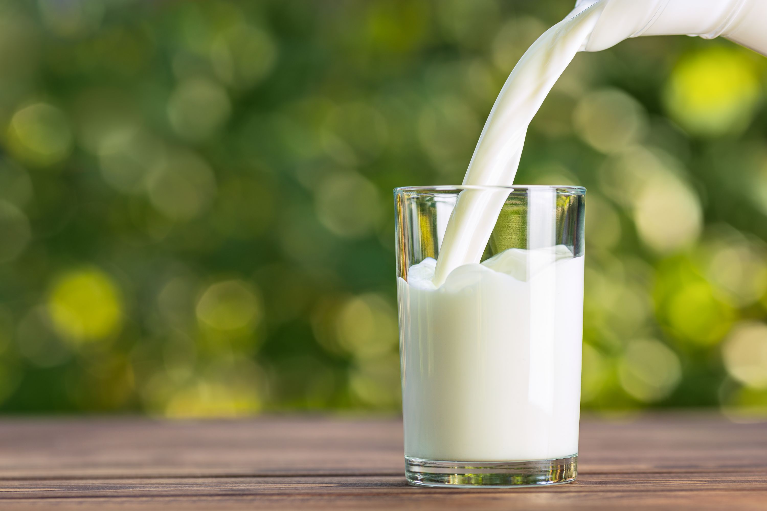 No es tan saludable cómo pensábamos: ¿por qué la ciencia asegura que no conviene tomar leche descremada? - El Cronista