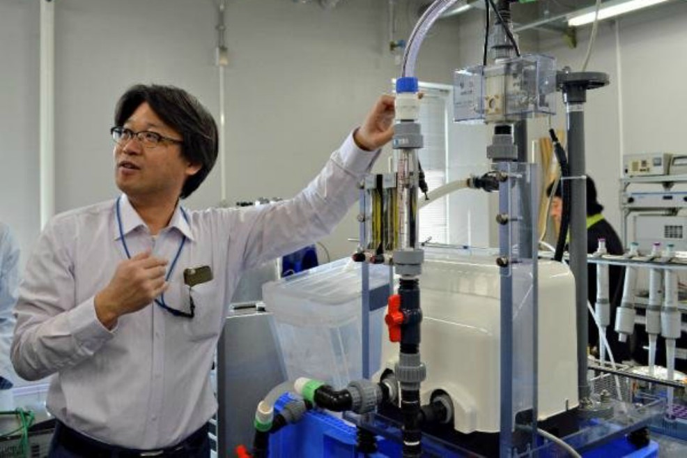 Japón le apuesta a crear colonias en la Luna en 2030