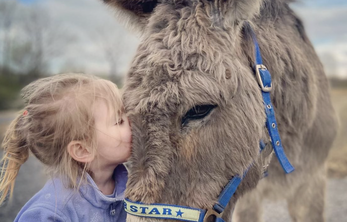 “Santa, esta navidad, trae mi burro a casa”: familia pide el regreso de su mascota