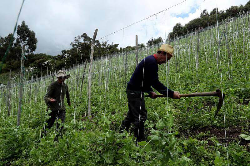 Fiscalía hizo inspección a Finagro por créditos agrarios en medio de la pandemia