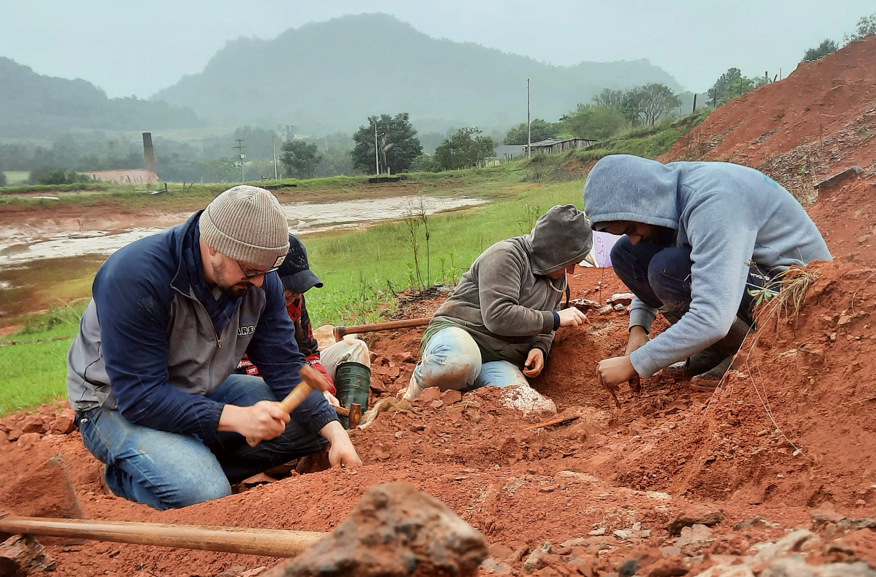 Lluvias intensas en Brasil desentierran fósil de dinosaurio de 230 millones de años