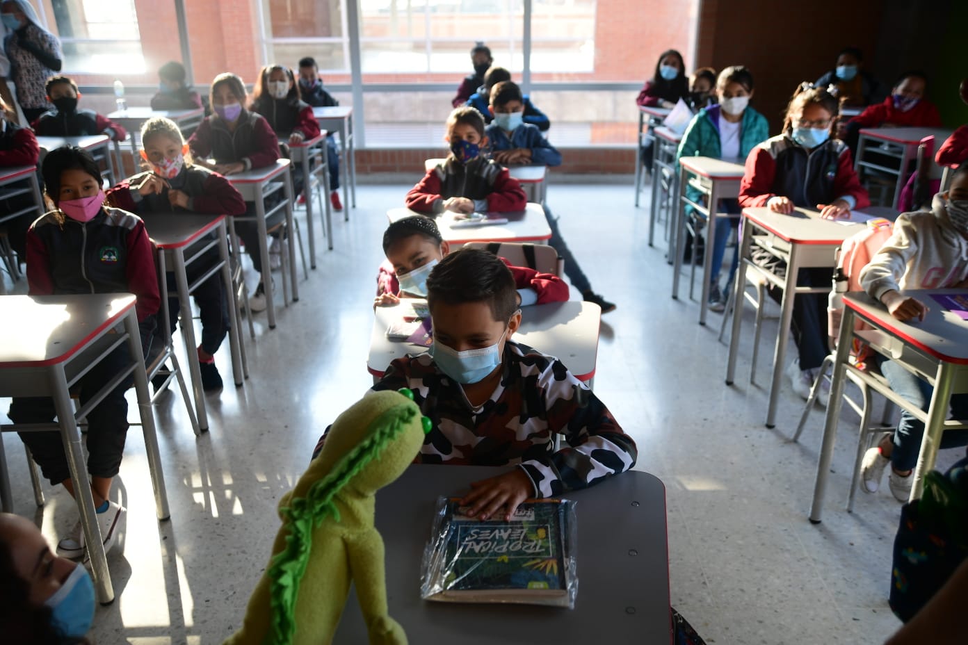 ¿Cómo acceder a matrículas, transporte y alimentación en los colegios distritales?