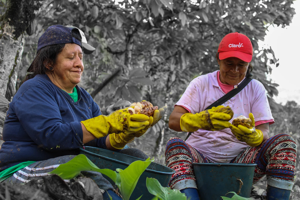 Mujeres, Paz y Seguridad: Entre luces y sombras, mujeres rurales santandereanas