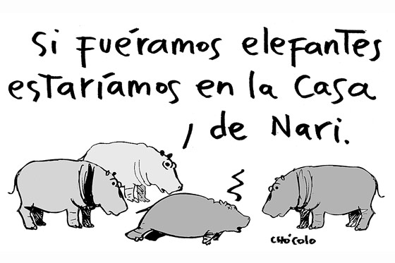 Hipopotamos