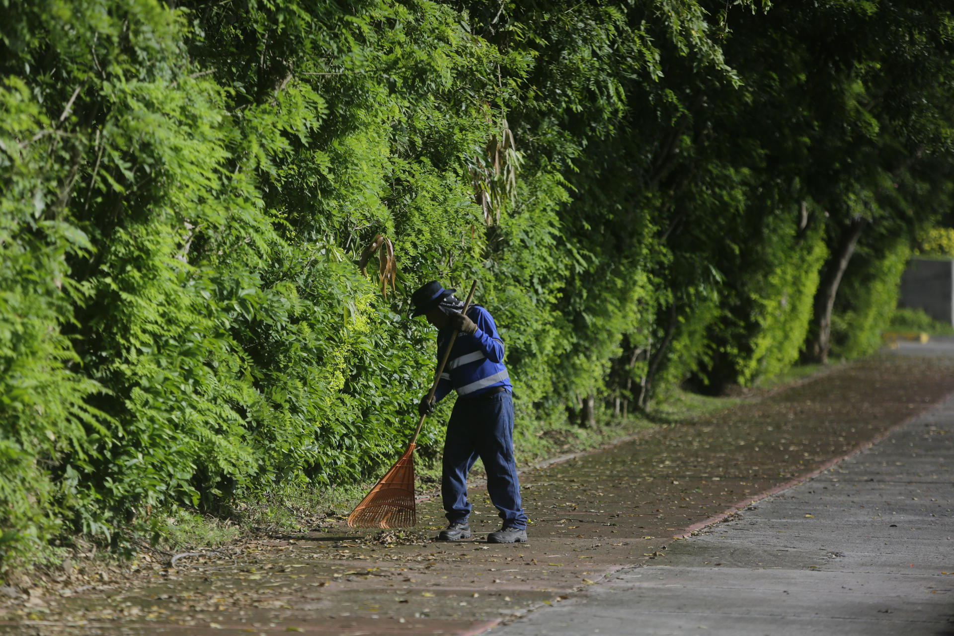 AME3652. CIUDAD DE PANAMÁ (PANAMÁ), 18/07/2025.- Una persona limpia una calle este miércoles, en Ciudad de Panamá (Panamá). La dolarizada economía de Panamá ha dado muestras de dinamización con una expansión del 5,2 % en el primer trimestre de este año, pero el mercado laboral sigue aletargado, con una tasa del 9,5 % que además amenaza con aumentar por la debacle del sector bananero a raíz de un conflicto social. EFE/ Carlos Lemos
