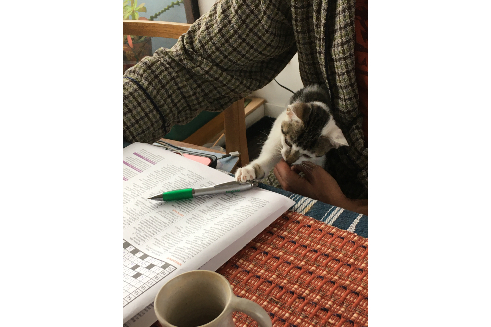 Escribir como un gato