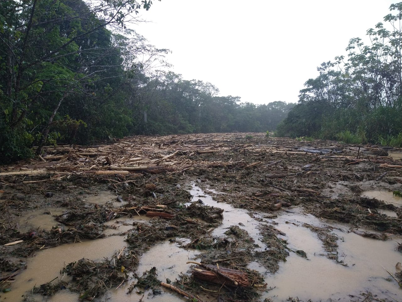 Abrirán corredor humanitario para habitantes confinados en Murindó, Antioquia