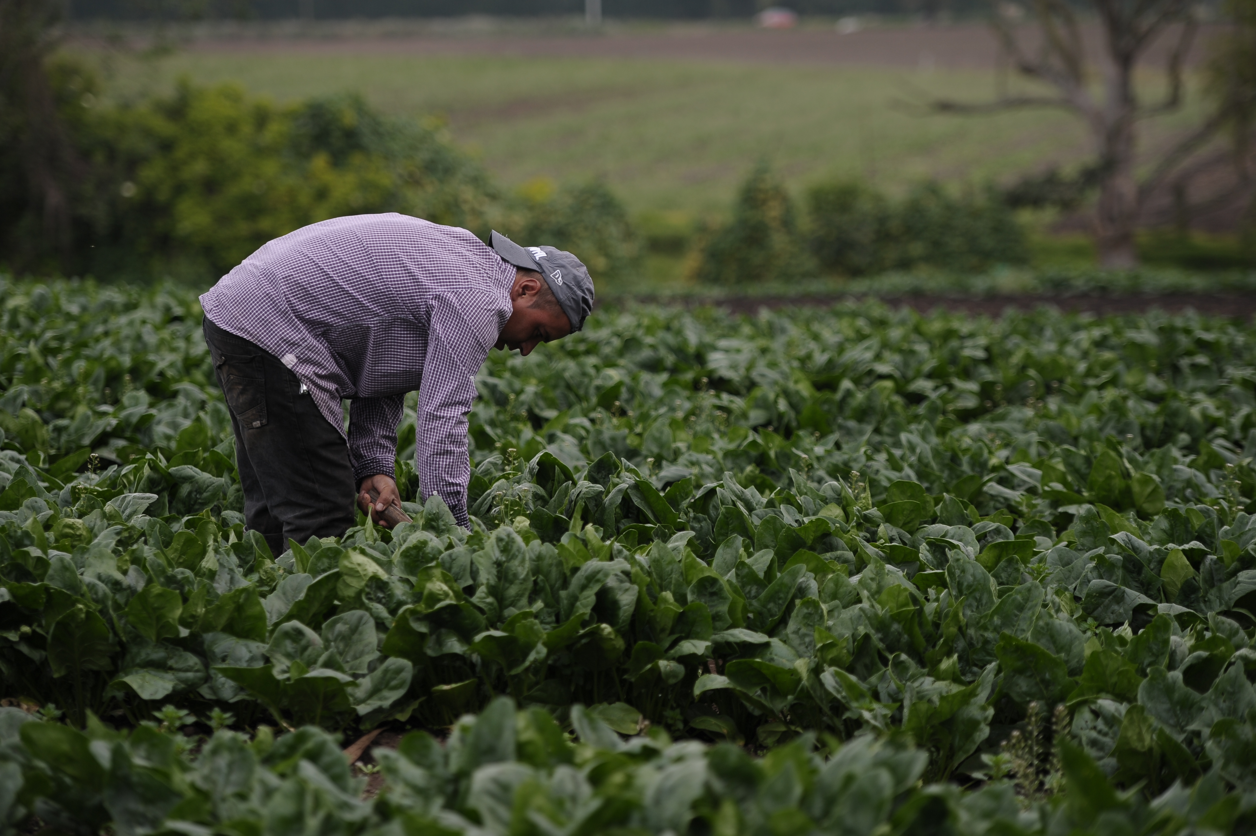 El debate ambiental que provocó el proyecto de jurisdicción agraria del Gobierno