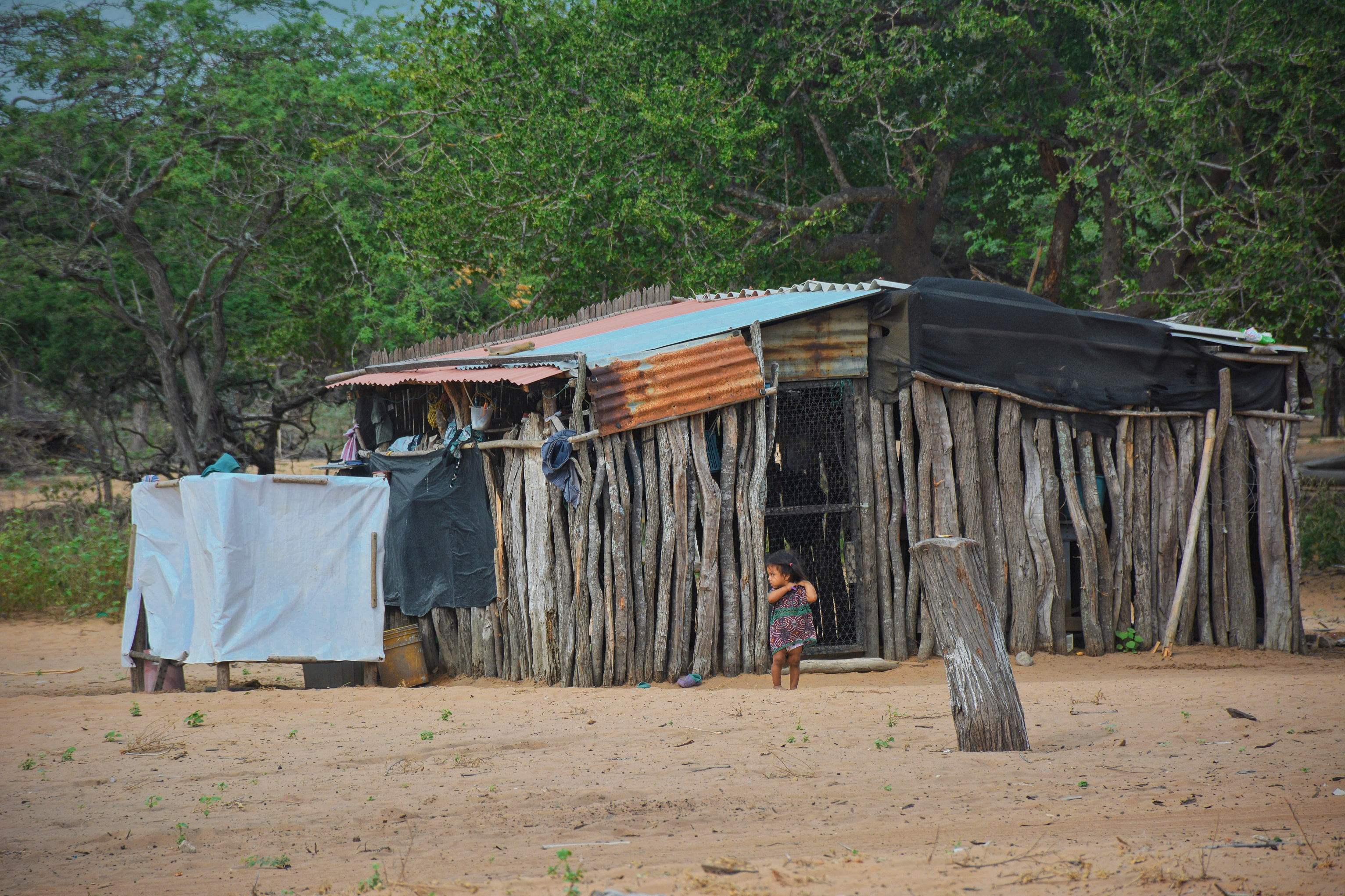 El modelo Yanama para mitigar el hambre en La Guajira