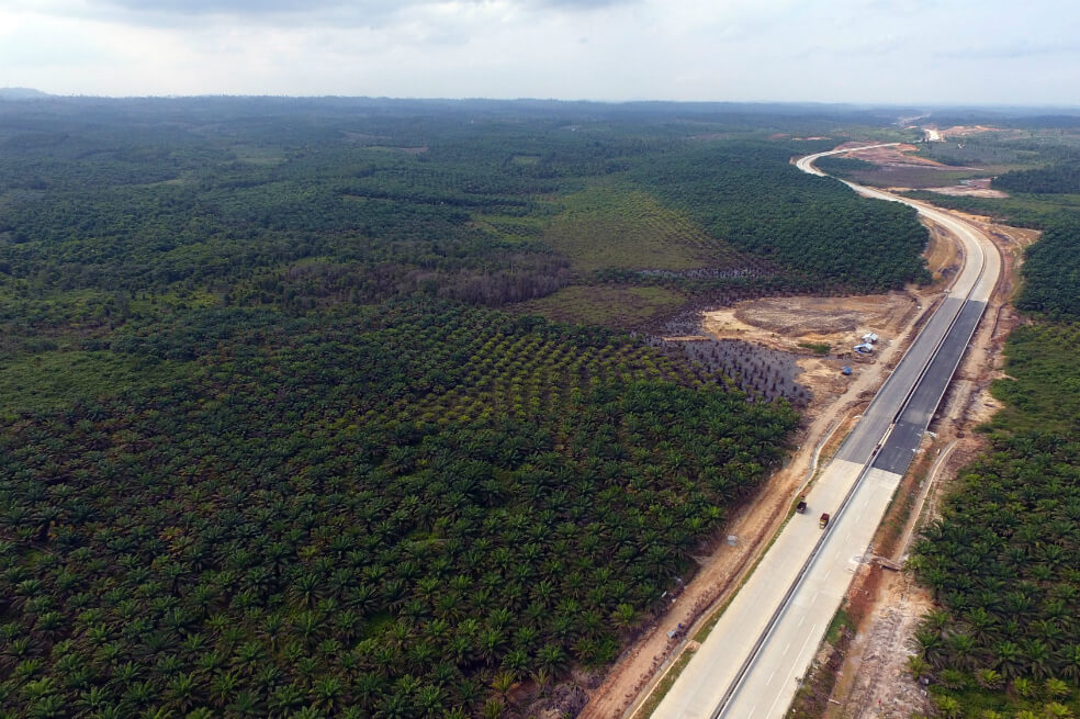 El Espectador le explica: ¿Por qué Indonesia quiere cambiar de capital? Y otros casos similares