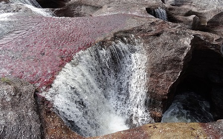 Crónica de un viaje a  Caño Cristales en tiempos de paz