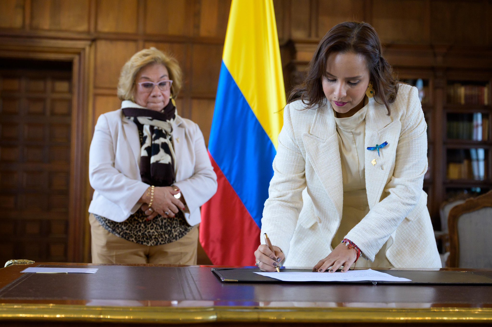 Ya hay nueva viceministra en la Cancillería, ¿cuáles serán sus funciones?