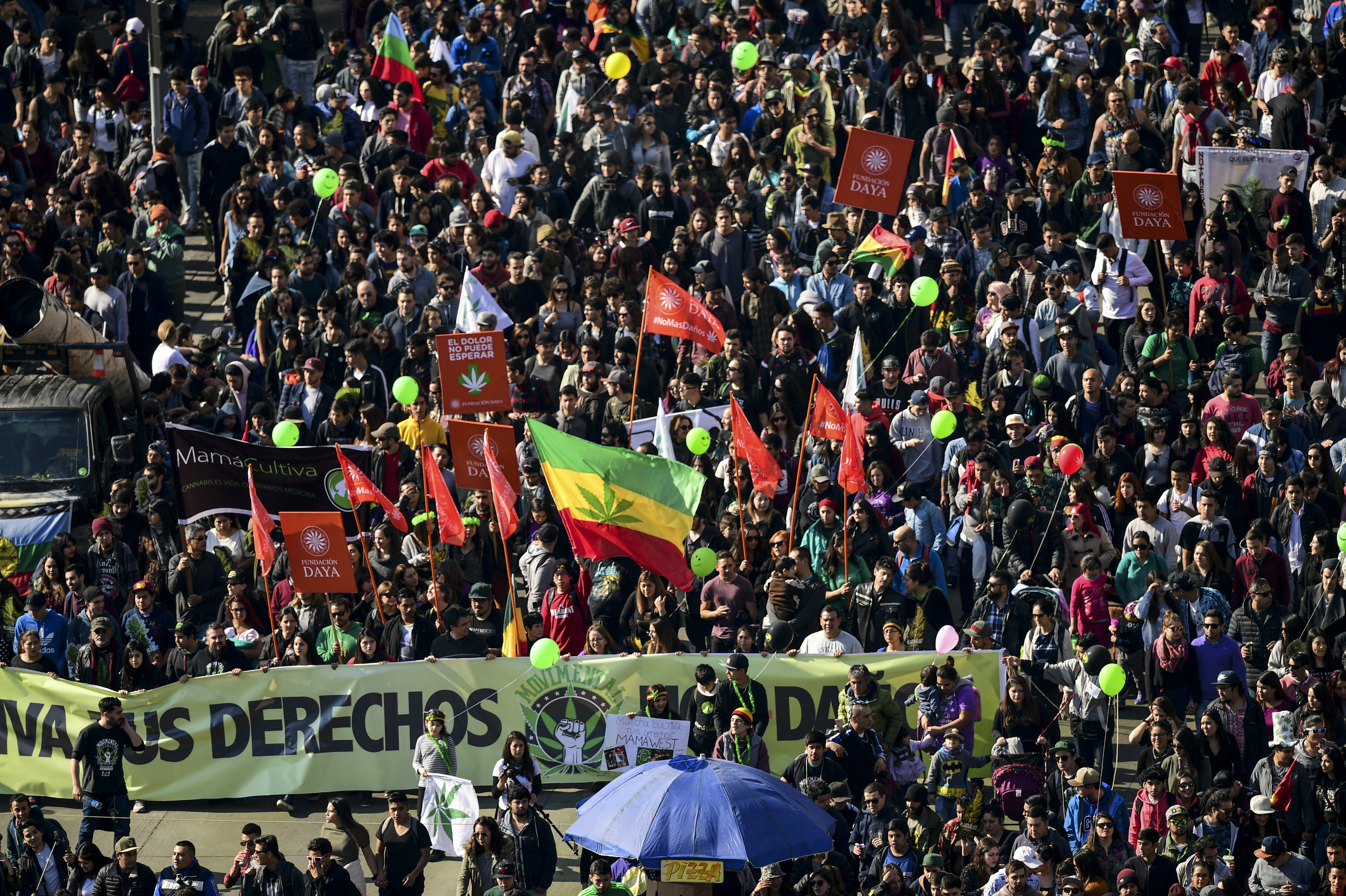 Miles marchan en Chile para exigir el derecho a cultivar marihuana