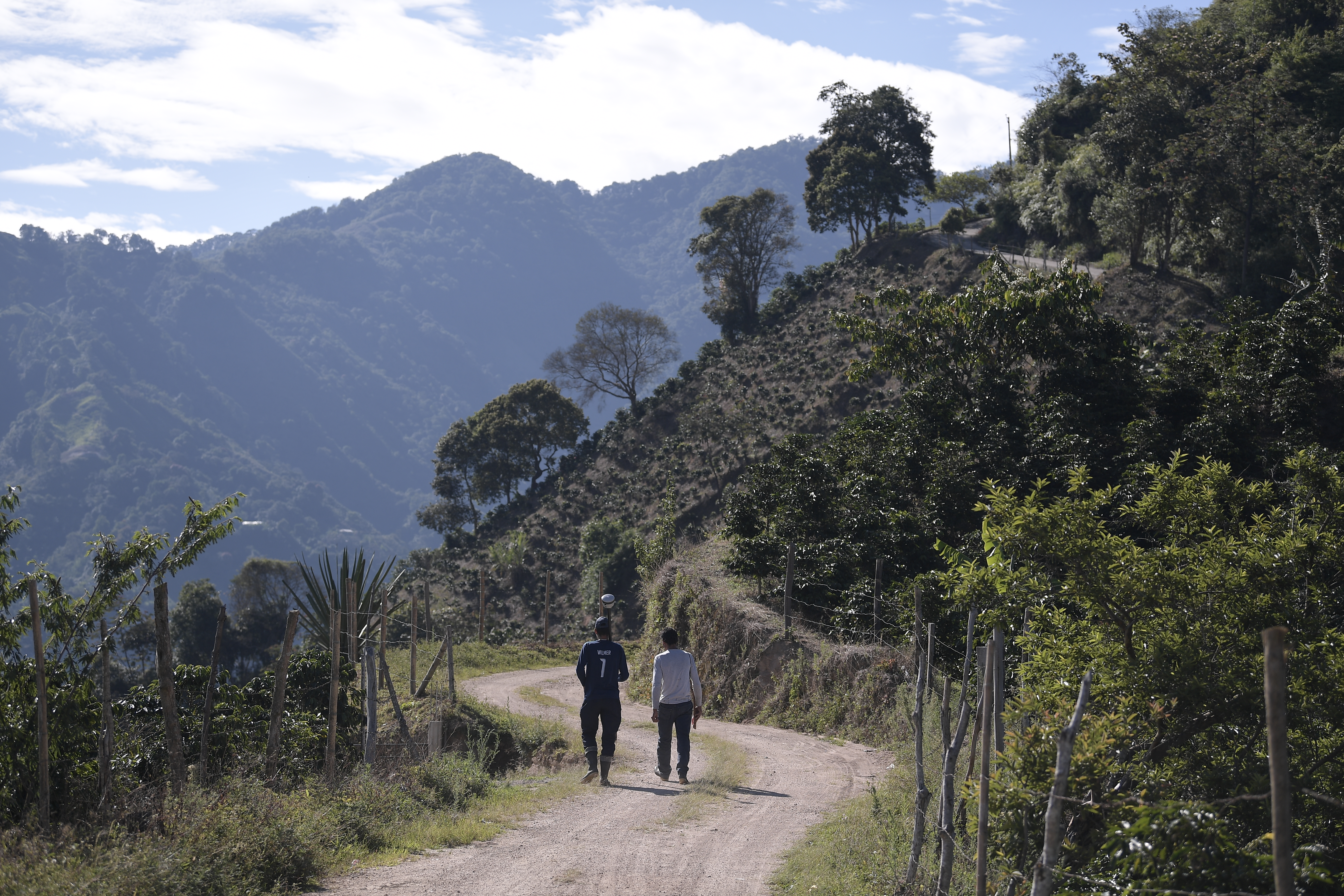 Represamiento en ANT afecta la formalización masiva de propiedad rural: Contraloría