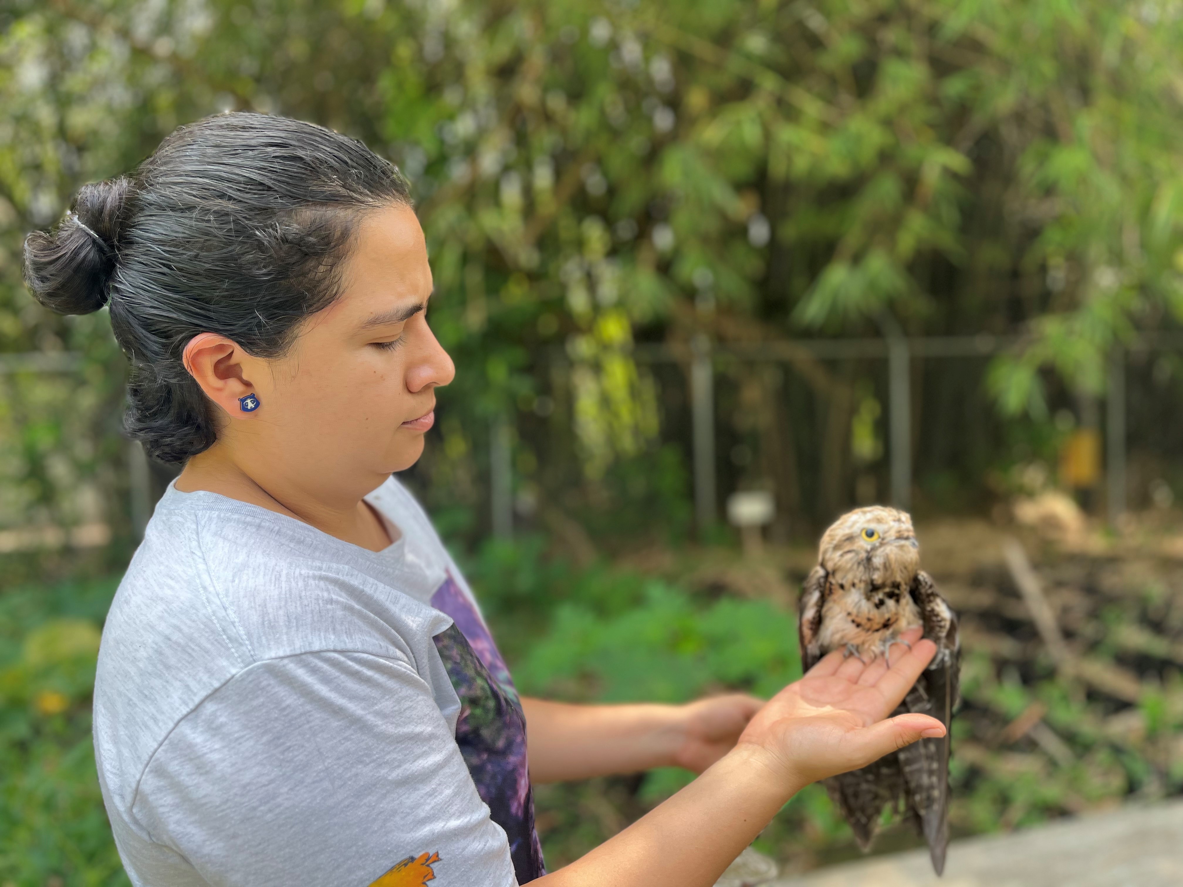 Destinos encontrados en un Hogar de Paso para animales silvestres en Cali