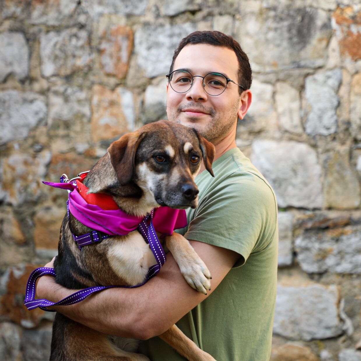 Dentro de los animales en adopción se encuentran mascotas con amputaciones.