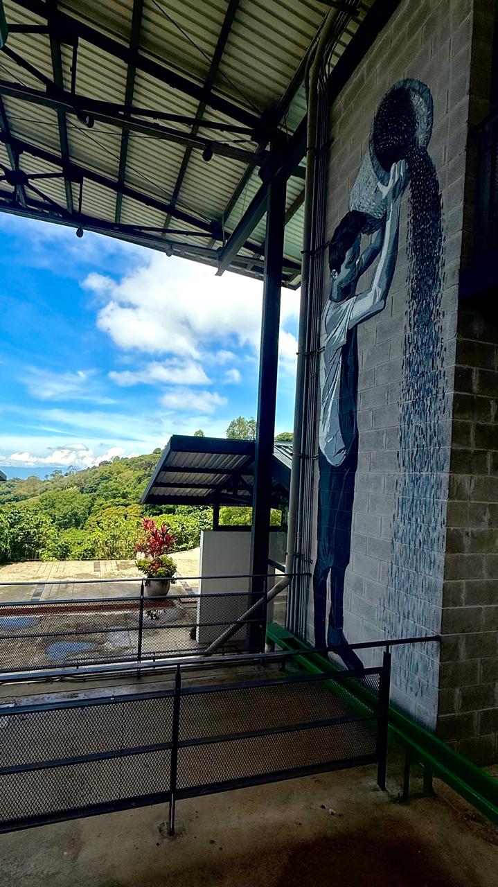 Costa Rica: un destino natural con café de excelencia y lujo sostenible