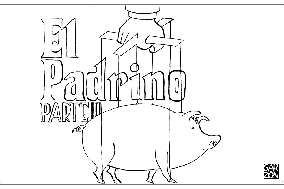 Cartones de Garzón