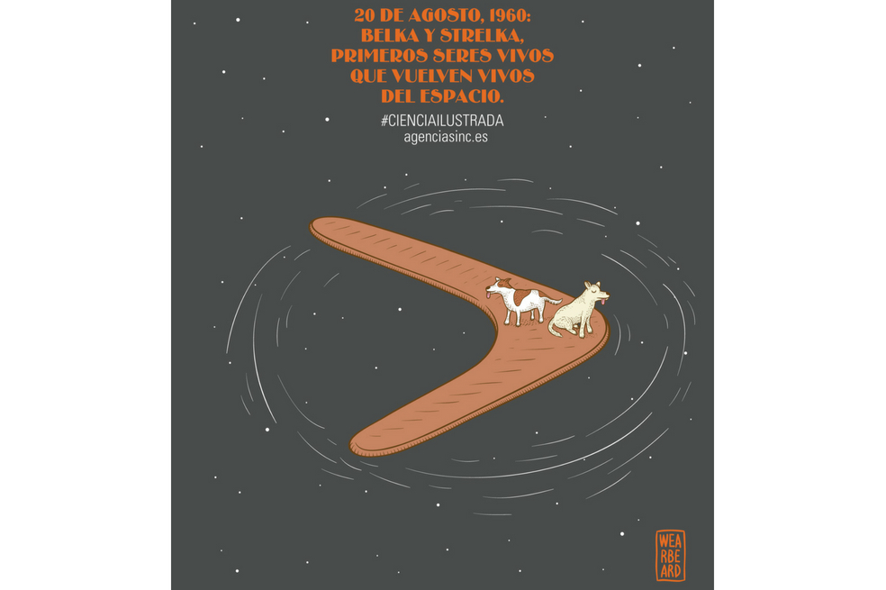 Tras pasar 26 horas paseando por el espacio, ambas perritas regresaron de su viaje por el espacio sideral.