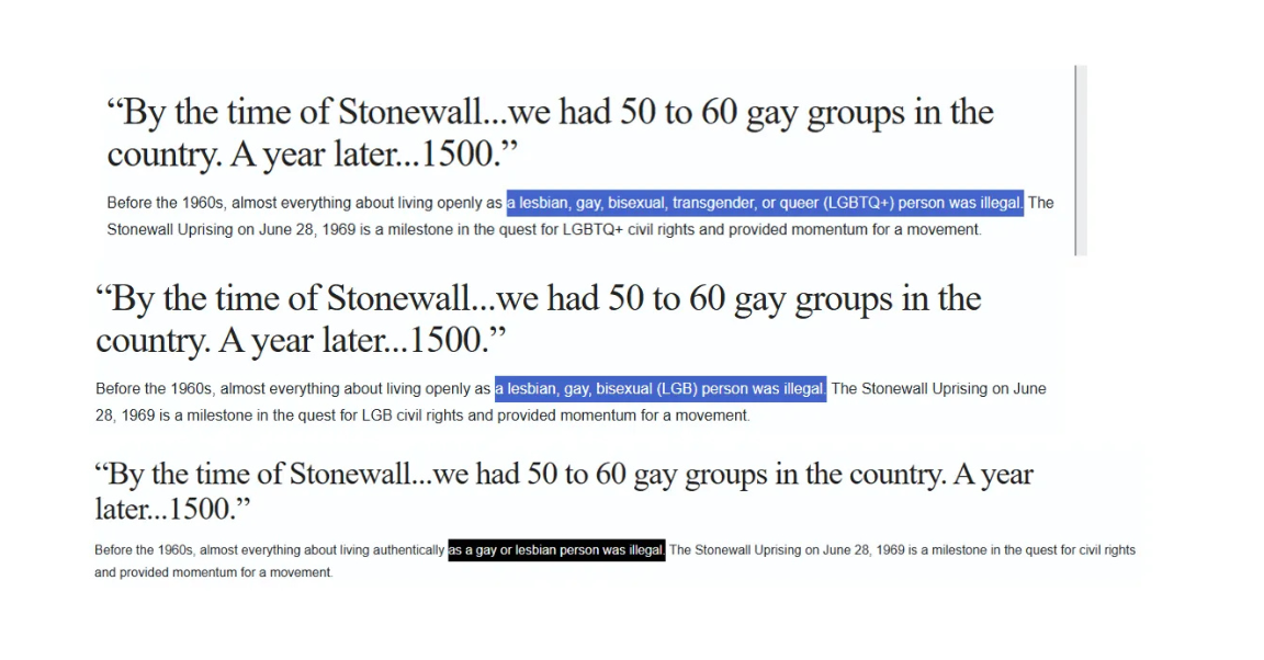 ¿Censura en Stonewall? Desaparecen menciones a personas trans y bisexuales