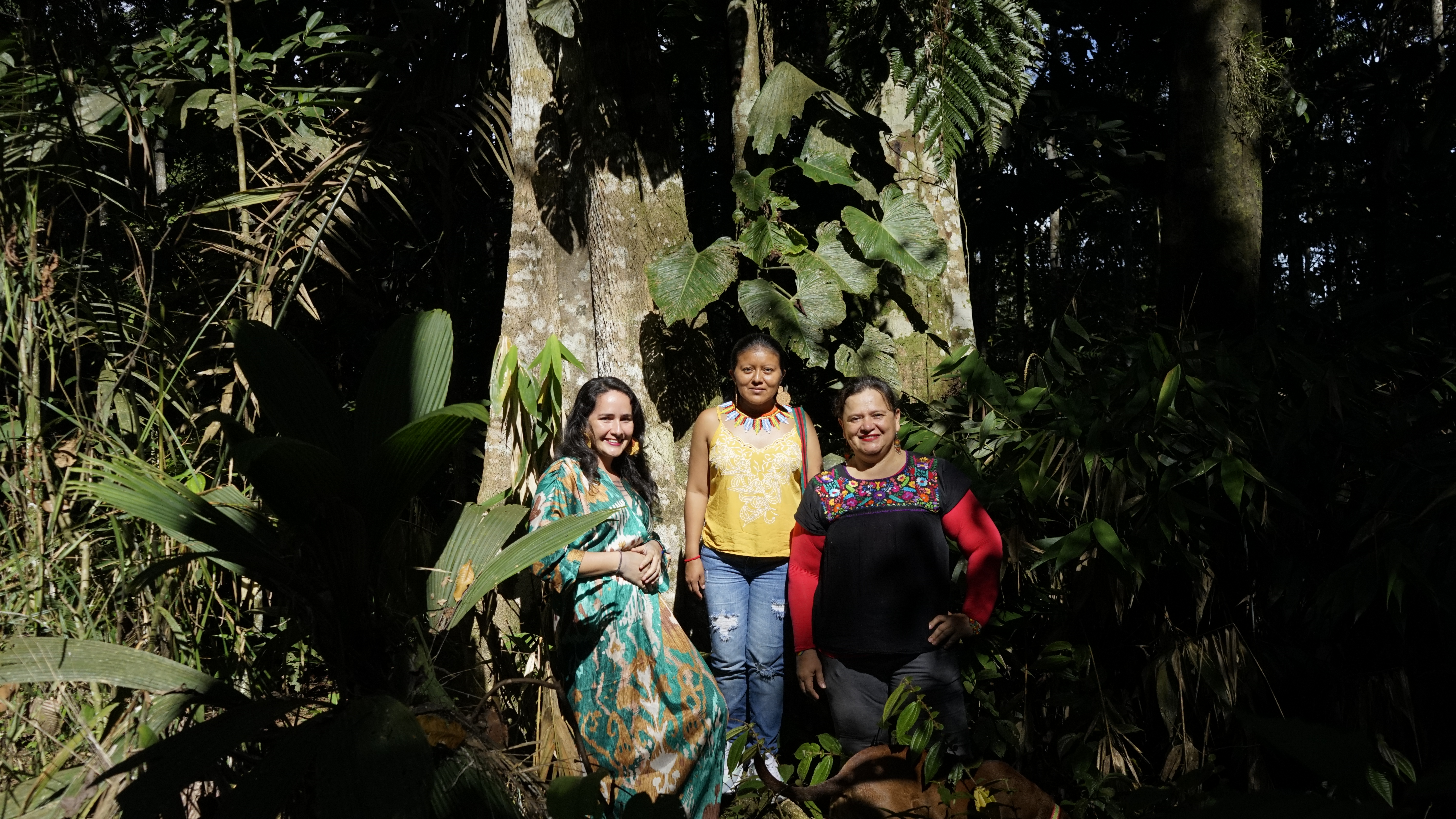 Olga Yaneth Trujillo, Zulma Yulieth Ulcué y Paola Jinneth Silva, fundadoras de Uma Kiwe Madre Tierra.