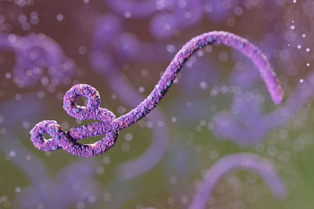 La primera terapia oral contra el ébola tiene resultados muy prometedores en monos