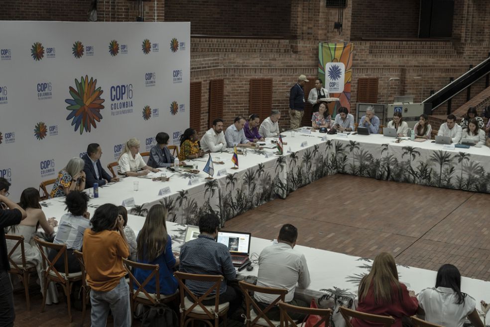 Corporaciones ambientales del país rechazan mensaje en contra de la COP16