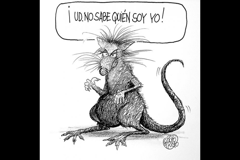 Picho y pucho