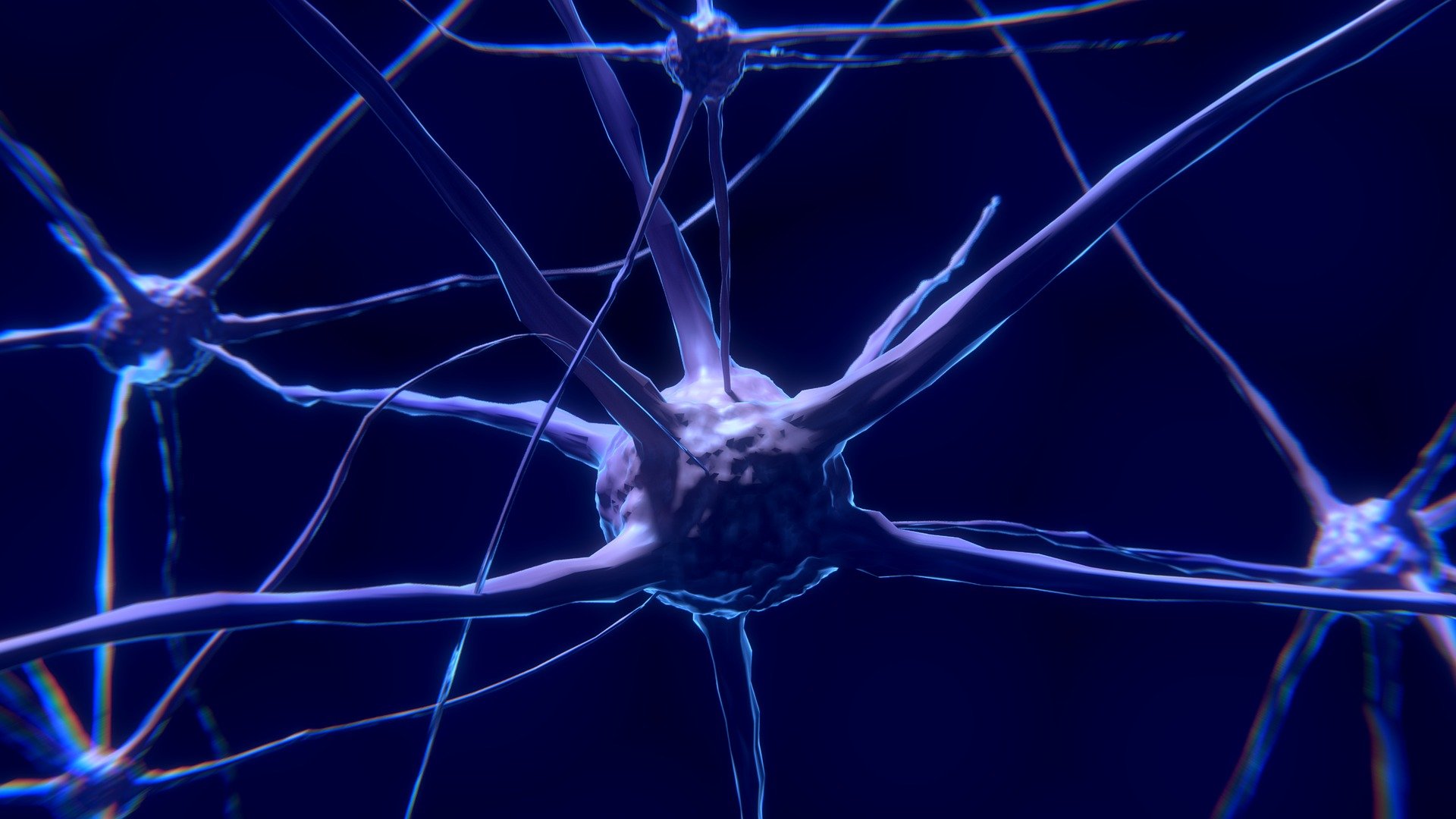 El cerebro manda una ráfaga noradrenalina.