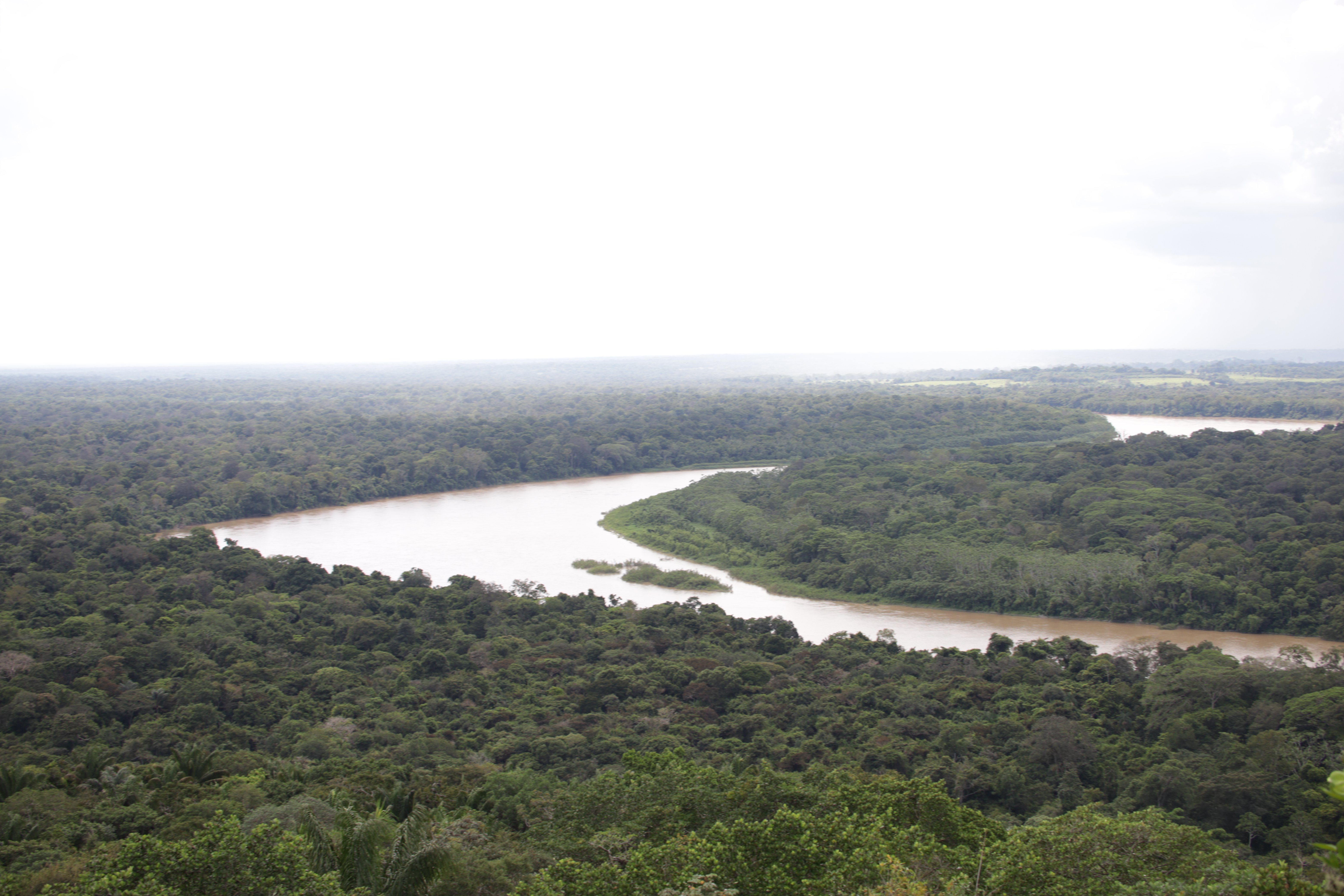 La ambiciosa meta de Guaviare para alcanzar la cero deforestación en diez años