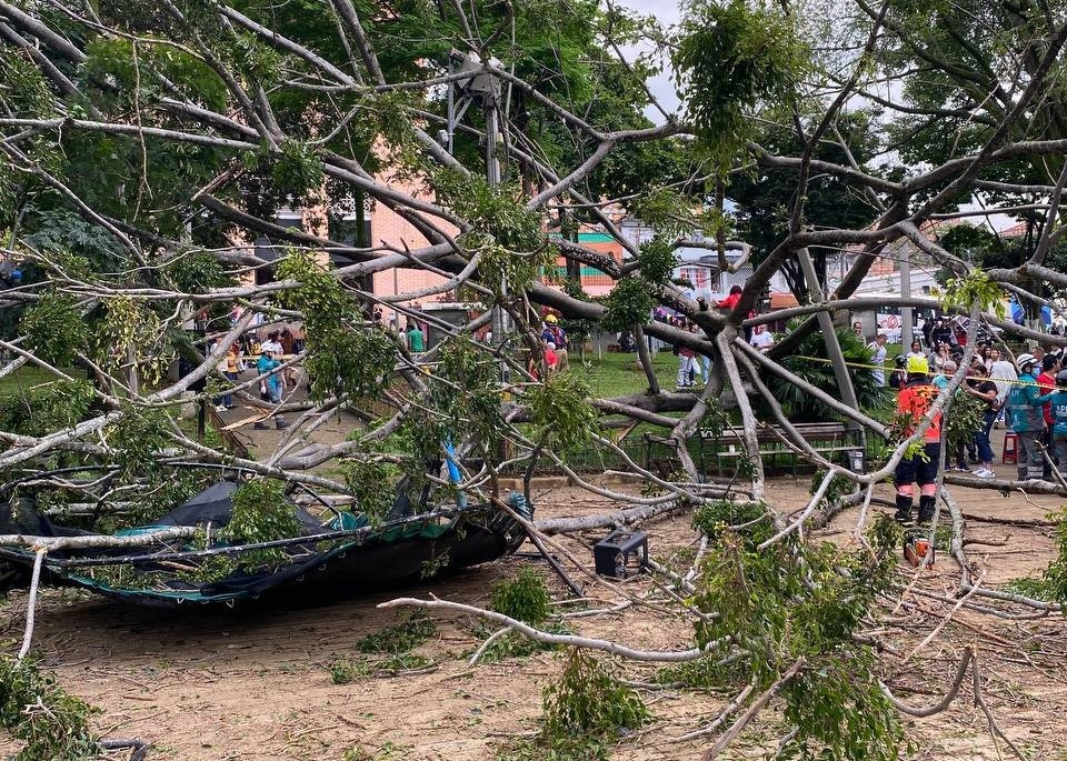 Alerta por caída de árboles en Medellín; fuertes vientos y lluvias han influido