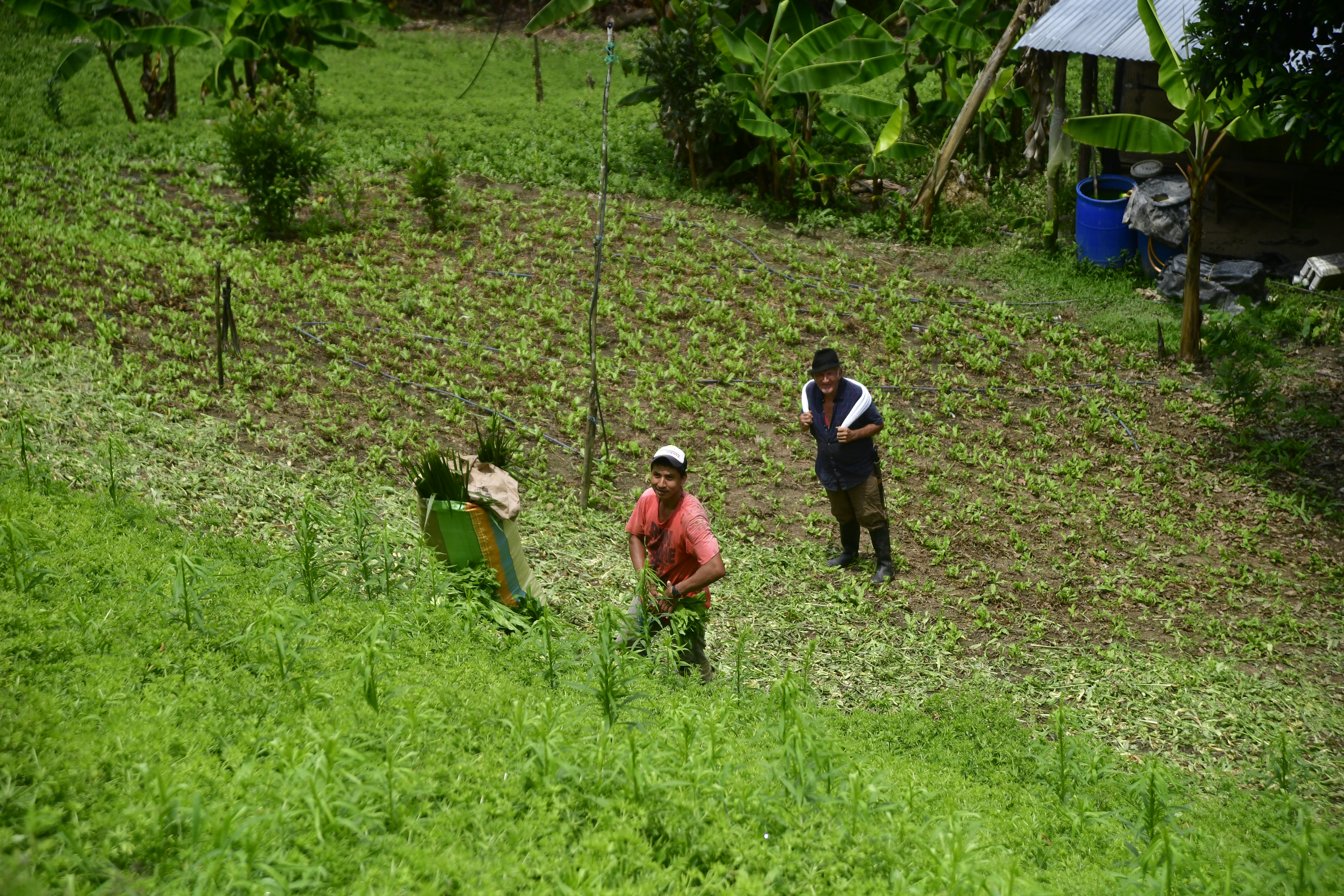 Aspectos de la zona y del trabajo de los campesinos en esta tierra