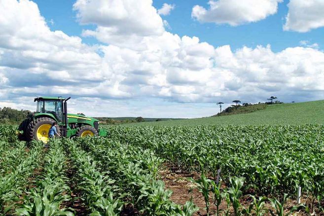 Los retos que tiene el agro colombiano para 2025