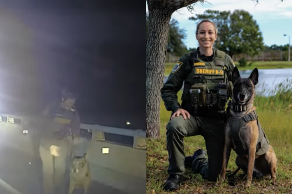 El impresionante rescate de un perro policía que estuvo a punto de caer de un puente