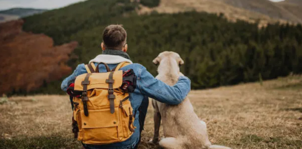 Nueve rutas en Colombia para hacer senderismo con su perro