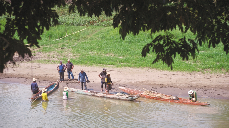 Las ciénagas del Bajo Sinú agonizan, y con ellas los pescadores